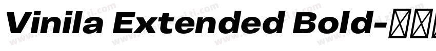 Vinila Extended Bold字体转换